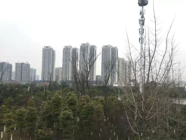 德阳市南公园图片