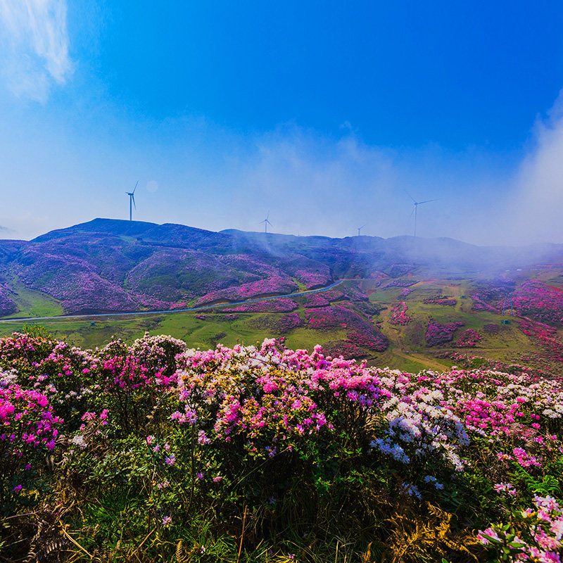 私家团贵州旅游纯玩8天7晚安顺黄果树织金洞乌蒙大草原万峰林赤水 - 定制游预订