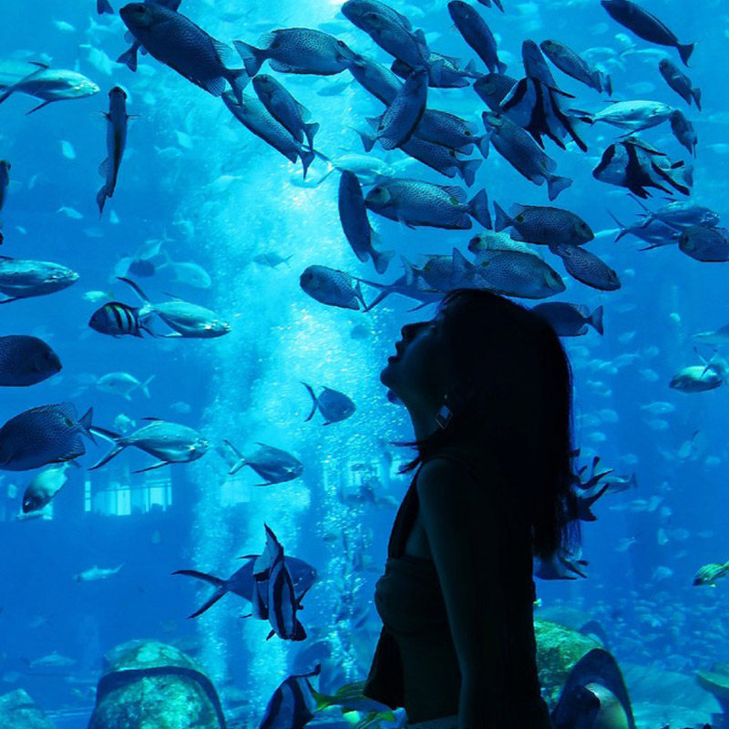 错峰出游三亚亚特兰蒂斯酒店5天4晚海景房套餐独栋泳池别墅水世界水族馆畅玩海鲜晚餐