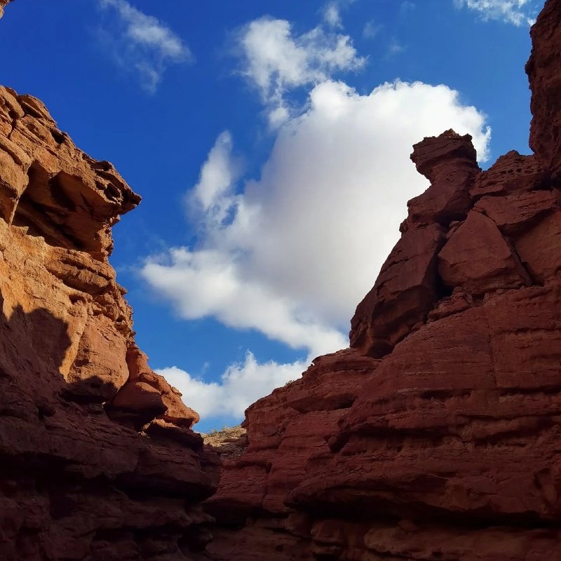 1日游梦幻大峡谷乌海湖【精品小团】0购物0进店 - 定制游预订