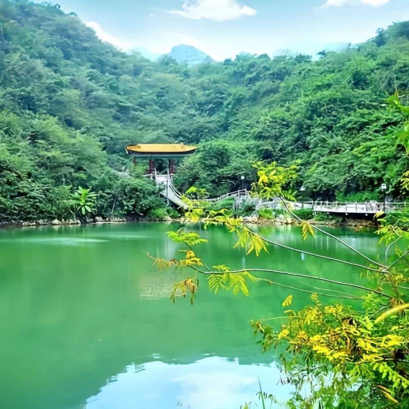 韶关乳源丽宫国际温泉酒店 禅意雅致房2天1晚+早餐+云瑶谷无限次温泉门票+云门寺门票