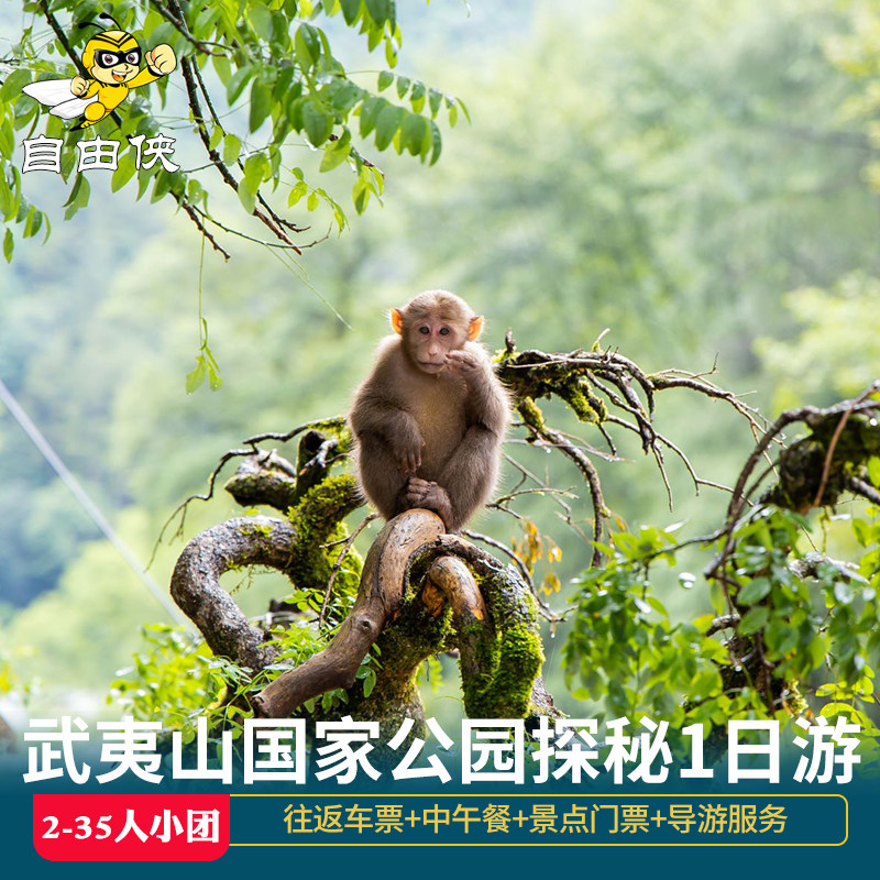 武夷山国家公园一日游含午餐 月亮湾+青龙瀑布可选+桐木关+野猴谷 - 定制游预订