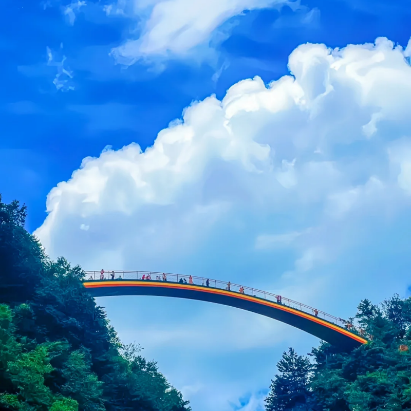 『私家包车游|武汉+宜昌三峡+神农架+大九湖全景大环线5日游』 - 定制游预订