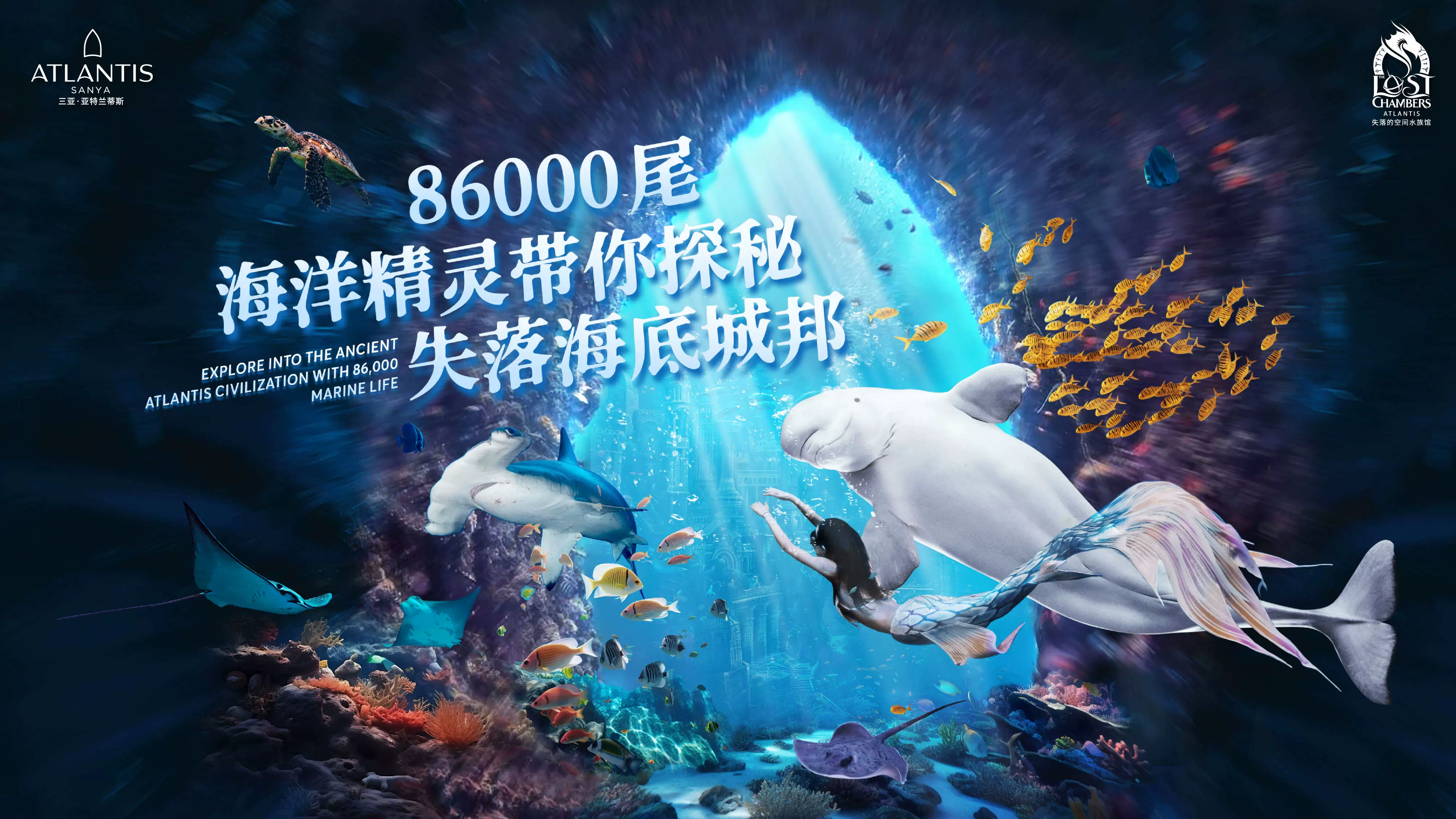 亚特兰蒂斯失落的空间水族馆图片