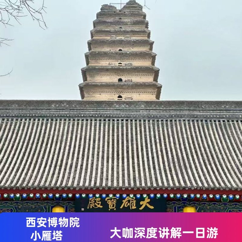 西安博物院+小雁塔一日游+双景点2小时大咖深度讲解团含门票 - 定制游预订