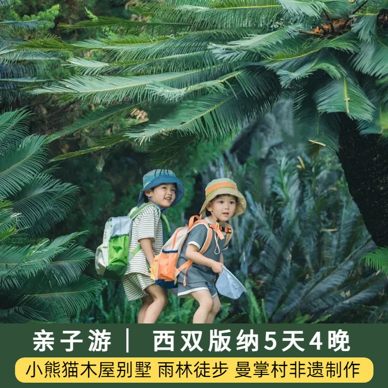云南旅游自由行西双版纳5天4晚纯玩亲子家庭旅行普洱小熊猫野象谷 - 定制游预订