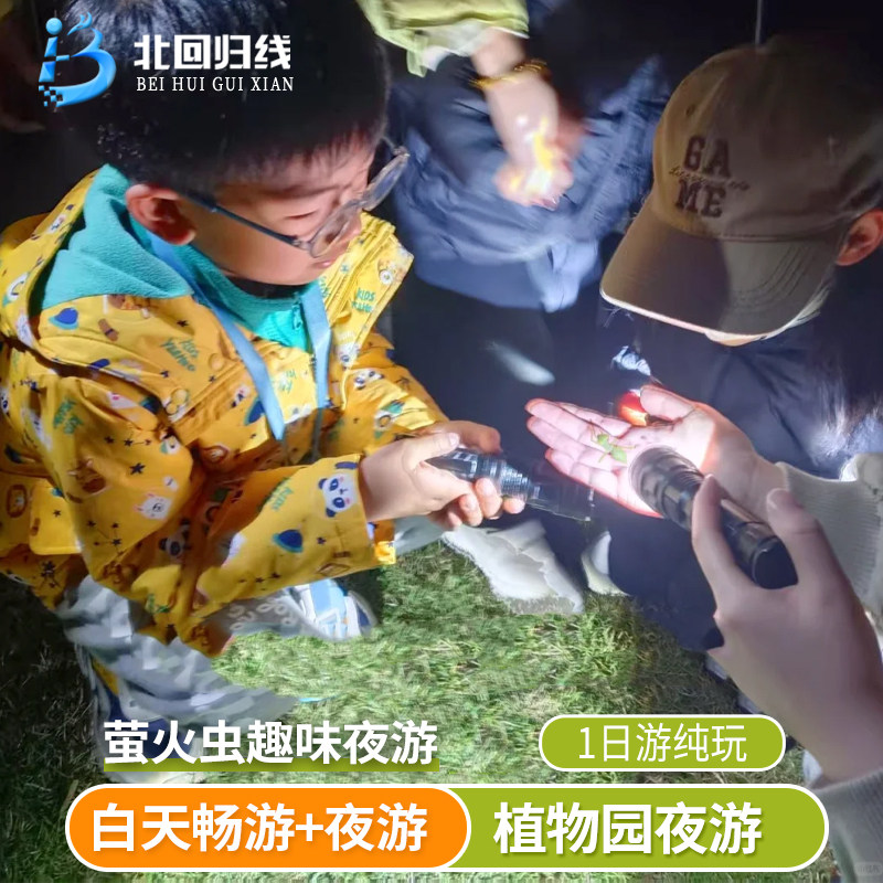 云南旅游-西双版纳中科院植物园夜游纯玩一日游-萤火虫趣味夜游 - 定制游预订