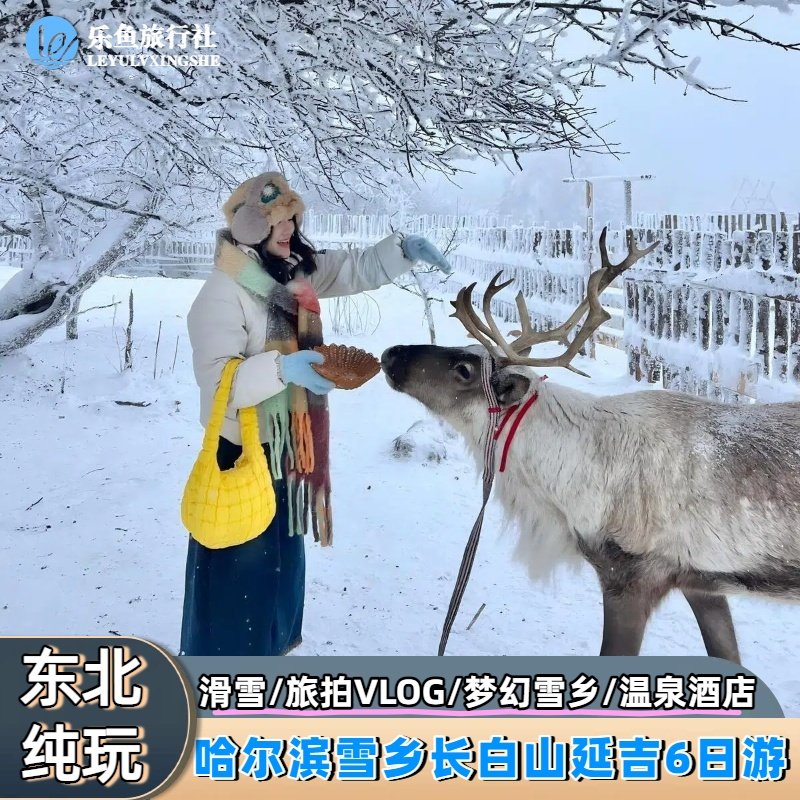 6人小团+滑雪+旅拍|东北哈尔滨长白山旅游跟团亚布力雪乡6天纯玩 - 定制游预订