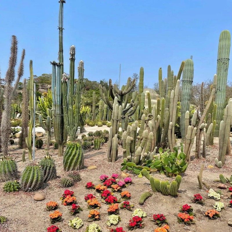 【定】全季酒店(南宁会展中心店)/高级大床+青秀山风景区2天1晚 - 定制游预订