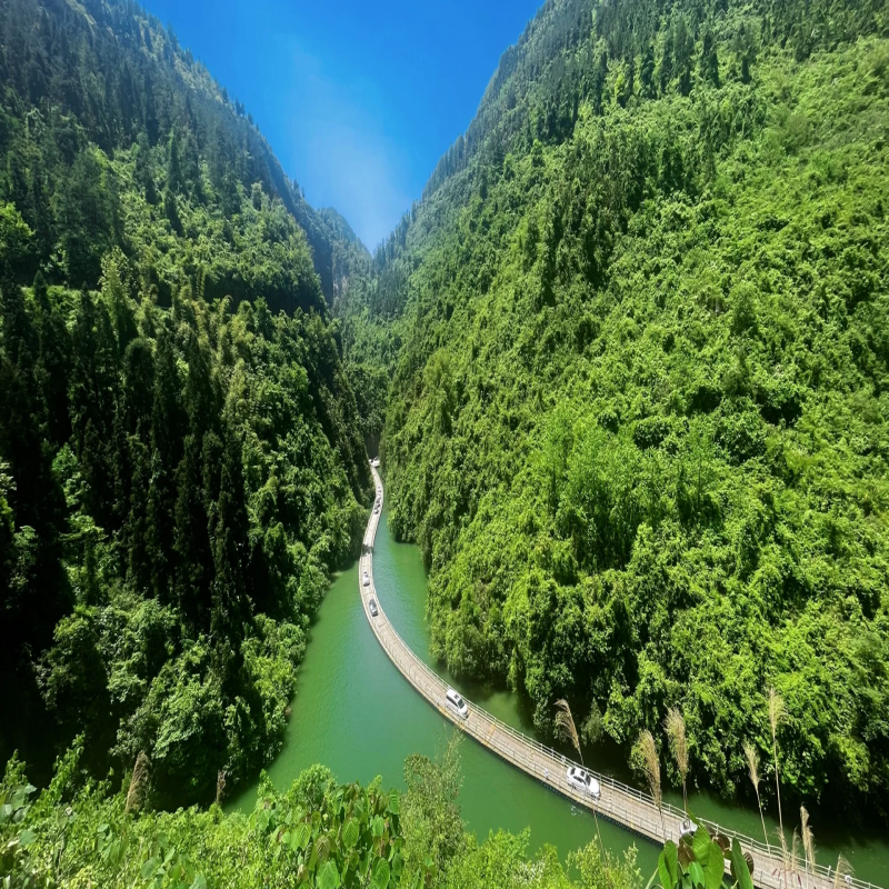 【私家包车游|湖北神农架+大九湖+恩施 6日游】 体验住在风景里 - 定制游预订