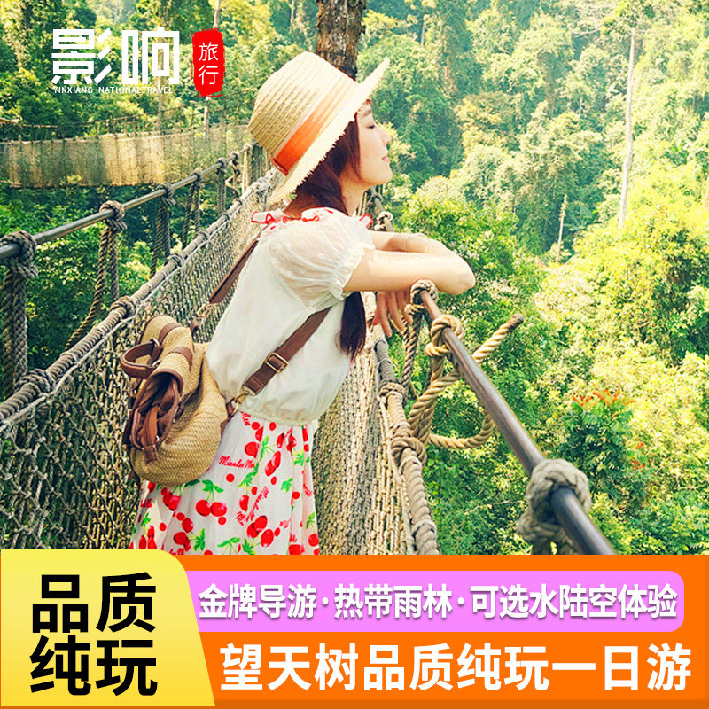 云南旅游西双版纳望天树景区直通车纯玩一日游 探秘雨林空中走廊 - 定制游预订