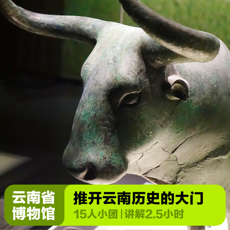 大咖说&bikego 云南省博物馆讲解2.5小时精讲15人小团 昆明旅游 - 定制游预订