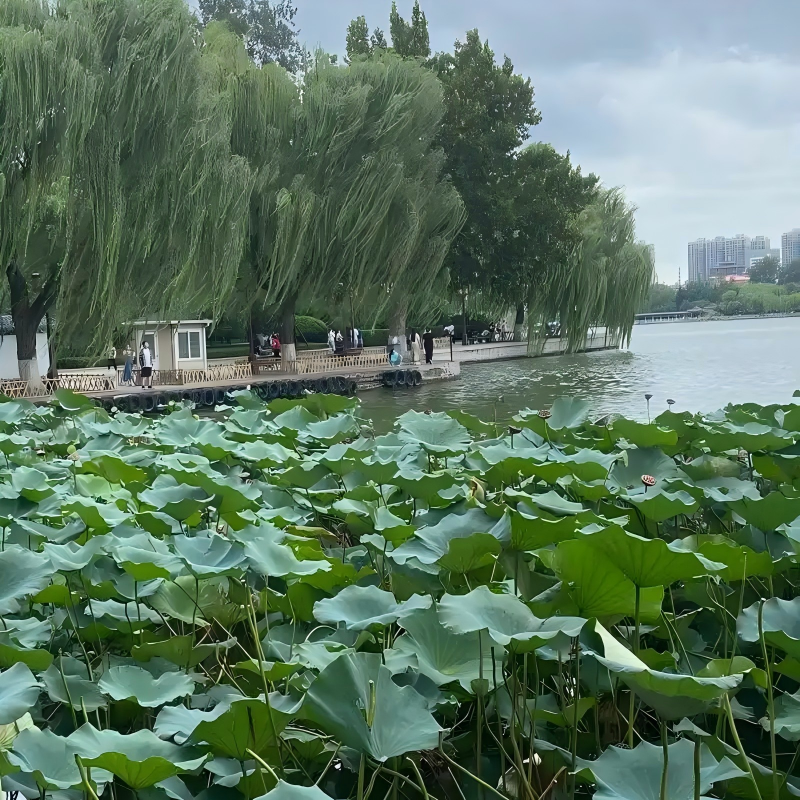 济南十东路融创茂亚朵酒店+济南亲子景点成人门票