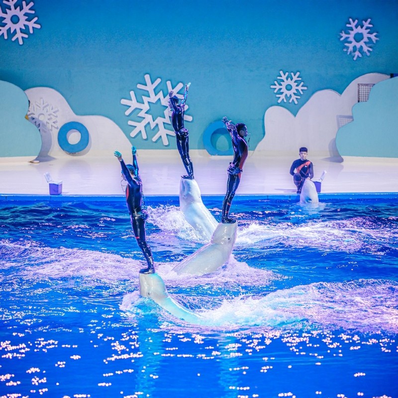 【寒假早鸟】泉州泰禾洲际酒店+泉州欧乐堡海洋王国乐园+清源山3天2晚自由行