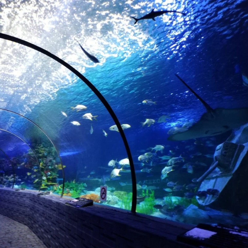 【希尔顿潮玩北海】2晚北海嘉福希尔顿花园酒店+赶海|北海贝雕博物馆|海底世界任选