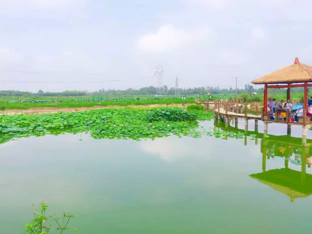 荷风水村图片