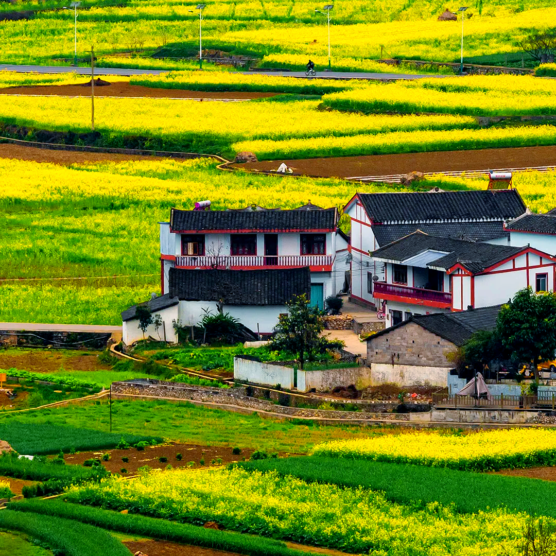 兴义桔山广场希尔顿惠庭酒店住宿+万峰林+观光车成人门票