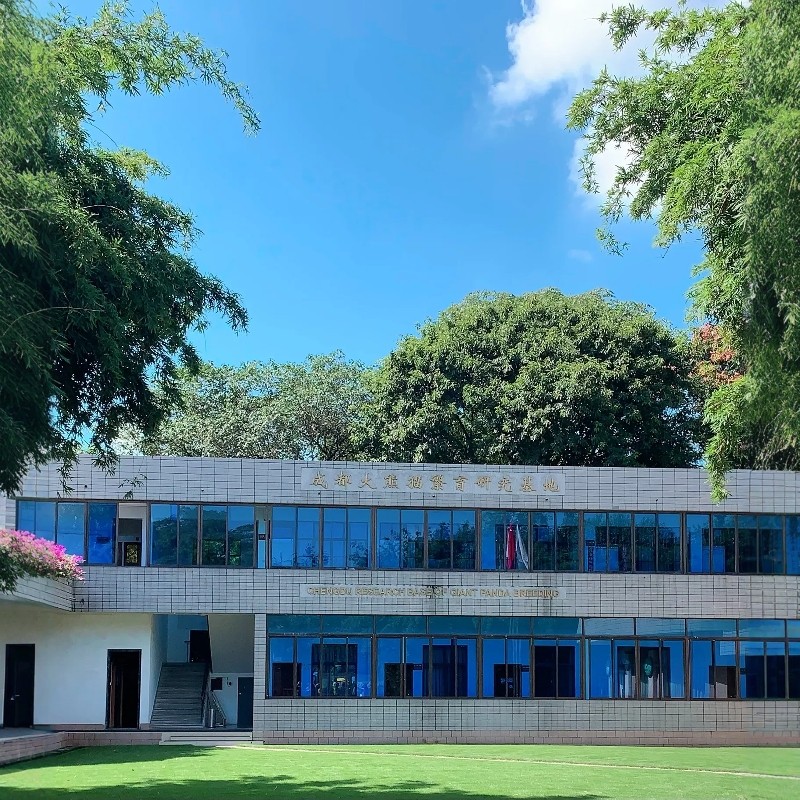 寒假早鸟|周边游】成都3天2晚|成都天府丽都喜来登饭店+成都大熊猫繁育基地+夜游锦江