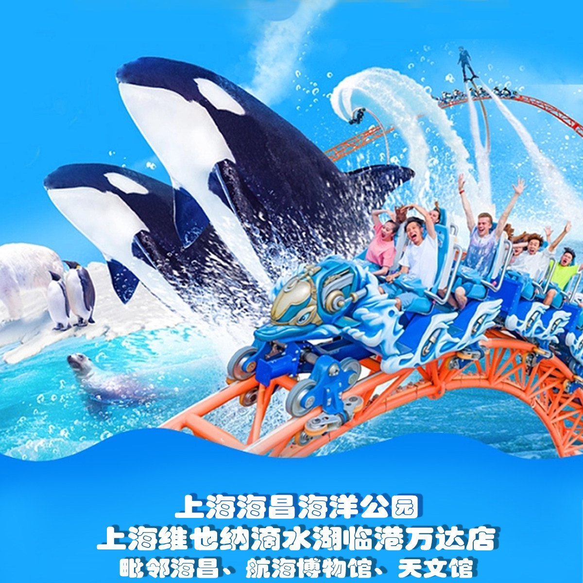 上海维也纳国际酒店(上海滴水湖临港万达店)2晚+海昌海洋公园门票 - 定制游预订