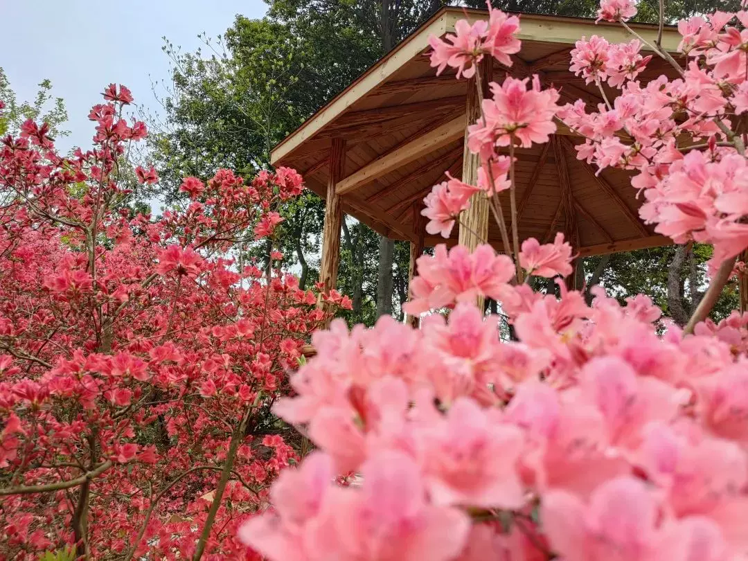 金京海景基地图片