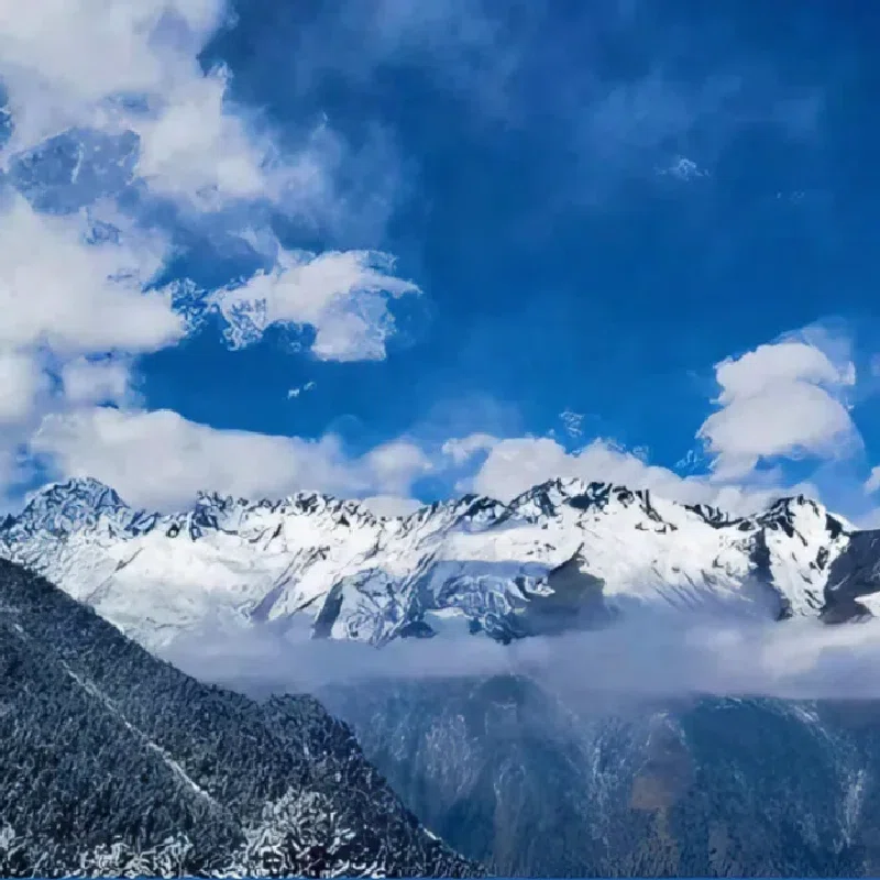 理县周边浮云牧场白空寺徒步1日 - 定制游预订