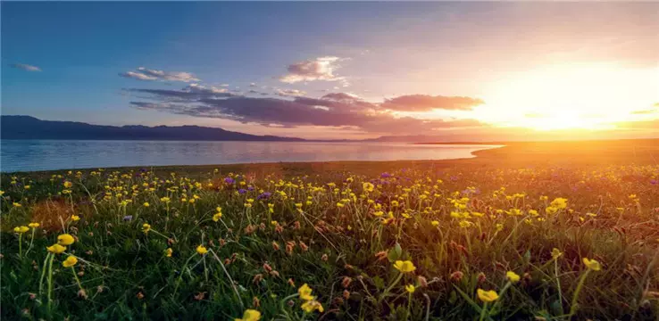 天鸣花海景区