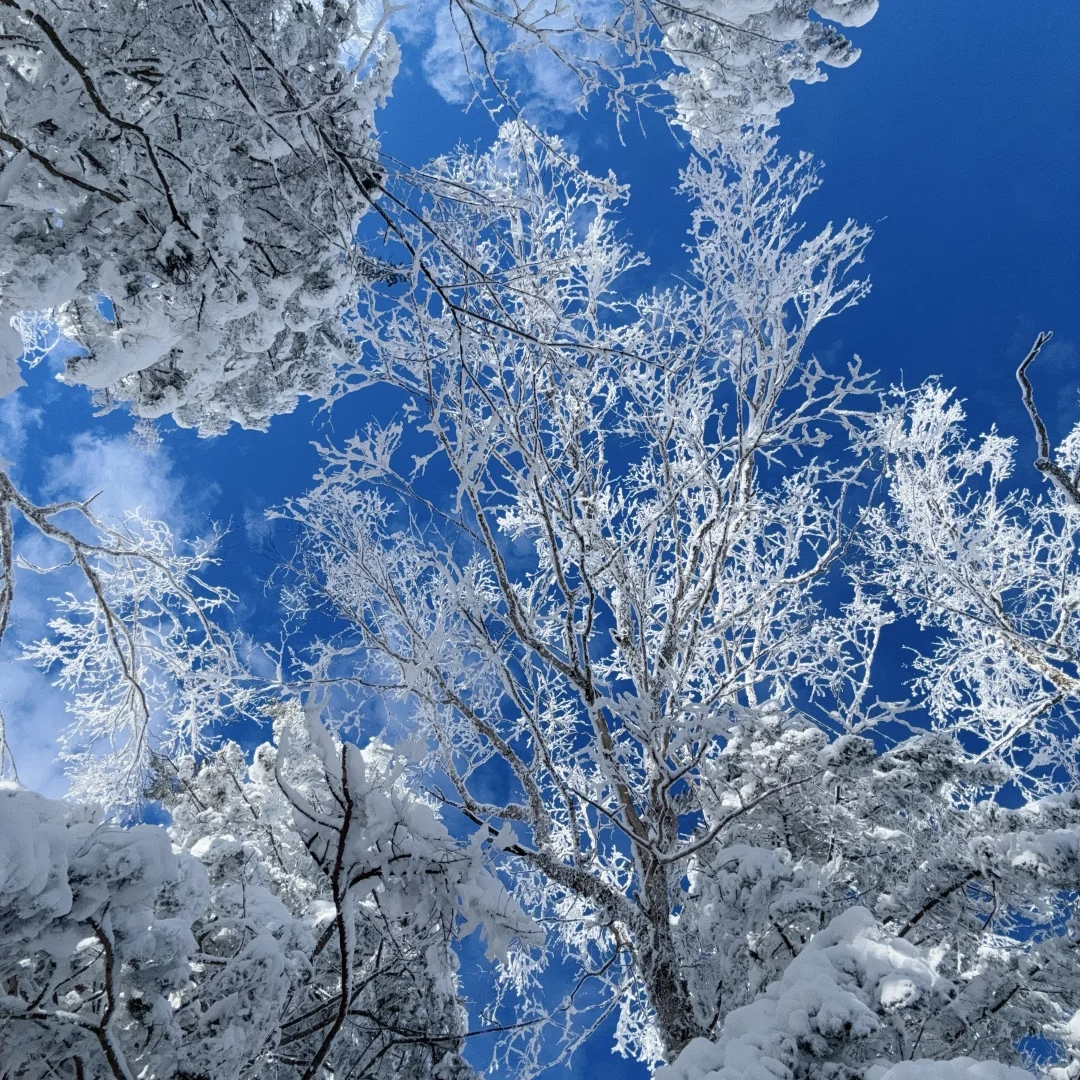 延吉延边大学网红墙梨花路亚朵酒店住宿+图们国门景区门票成人票