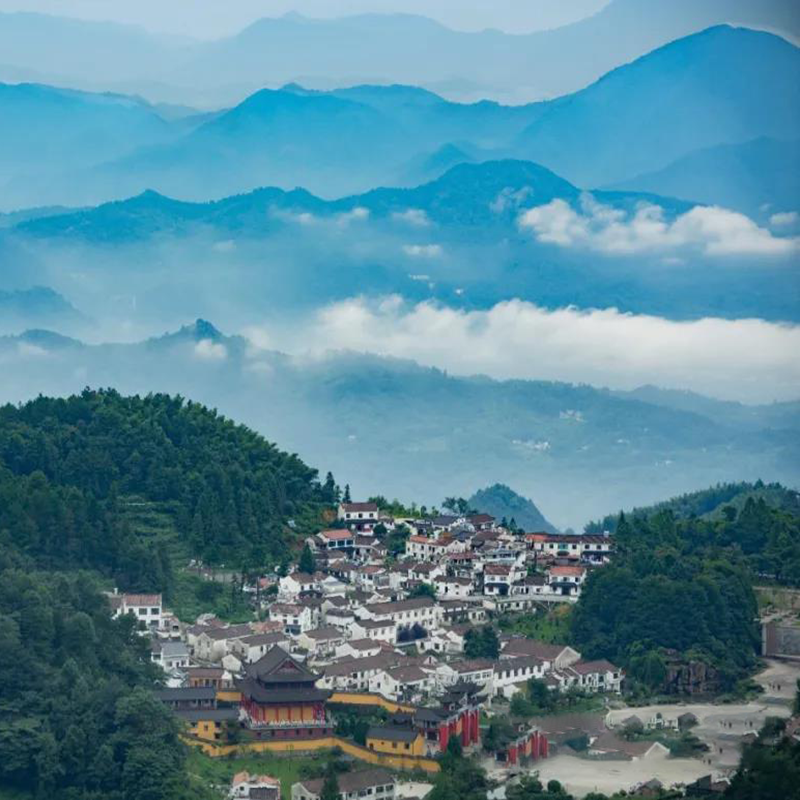 (九华山站接团)九华山祈福一日游 含高铁接送+门票+景交+导服 - 定制游预订
