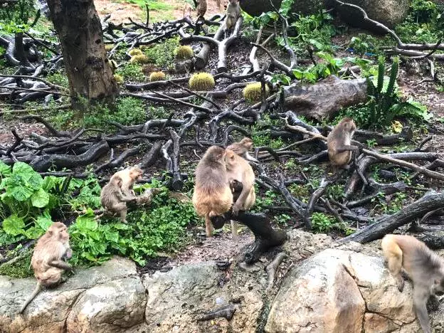 青龙山图片