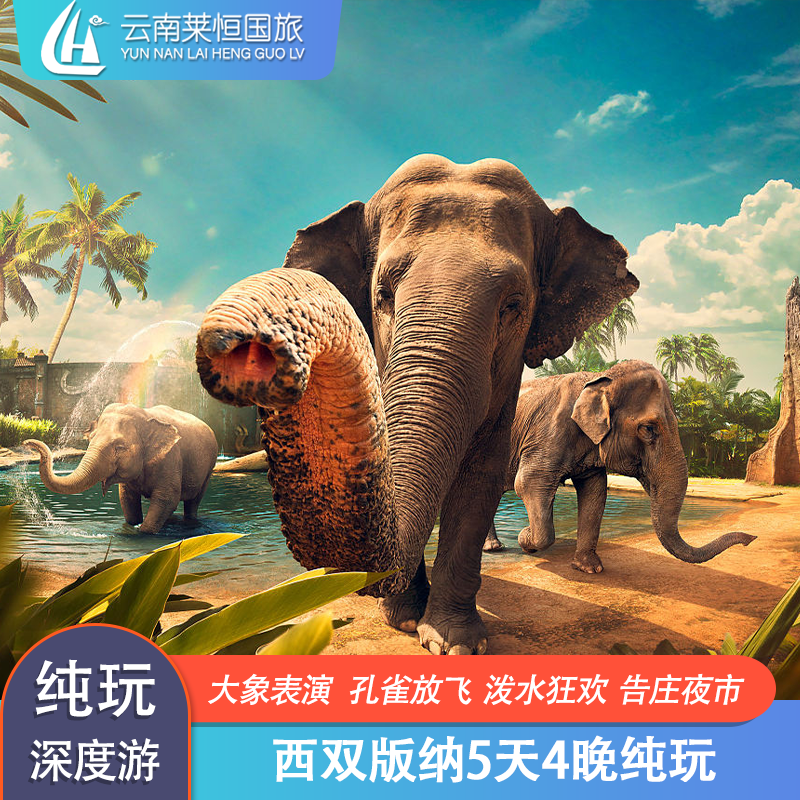 错峰云南西双版纳旅游5天4晚纯玩跟团游植物园曼听公园野象谷告庄 - 定制游预订
