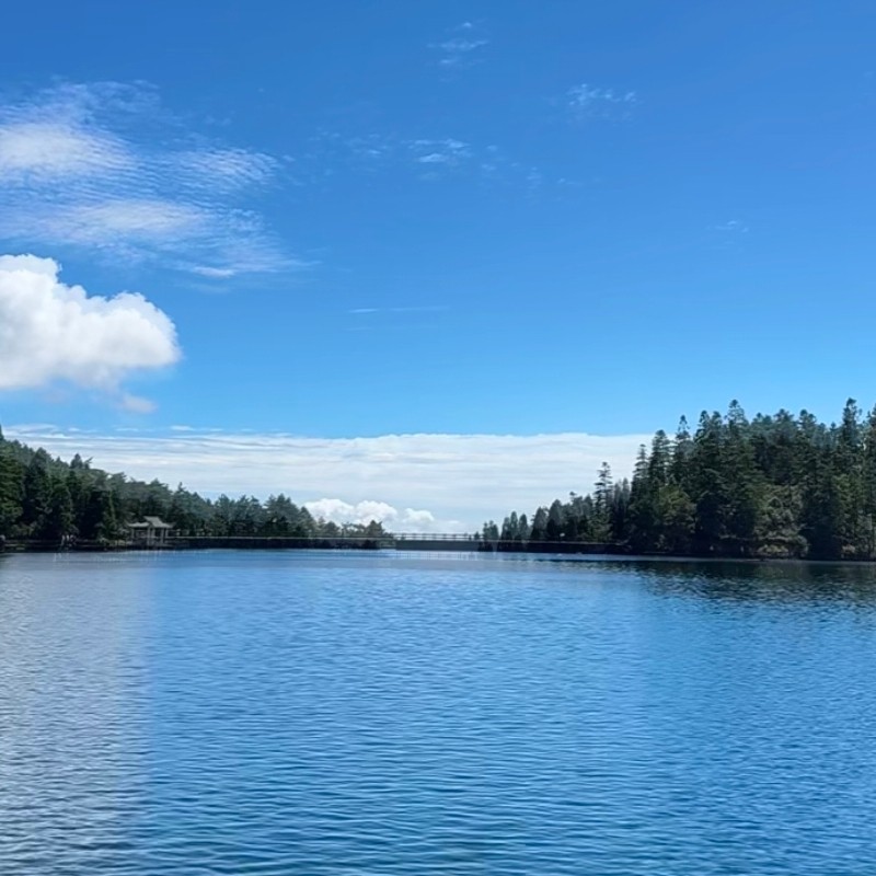 【畅游】宜春上高迎宾馆豪华总统套两天一晚+明月山 - 定制游预订