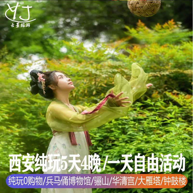 全国出发去到西安纯玩旅游5天骊山华清宫兵马俑钟楼广场自选酒店 - 定制游预订