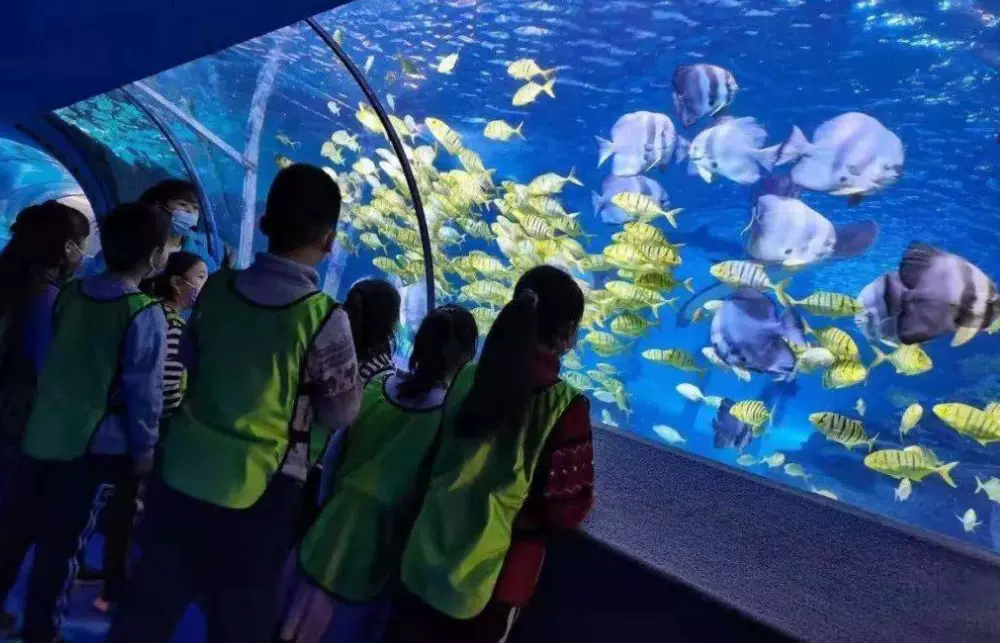 升泰海洋水族馆图片