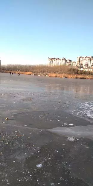 马家湾湿地公园图片