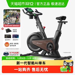 Merrick Dynamic Exercise Bike, Self-Generating, Home-Use Model, Weight Loss Exercise, Fitness, Indoor Use, Black Knight Turbo