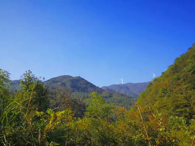 龙津溪地景区