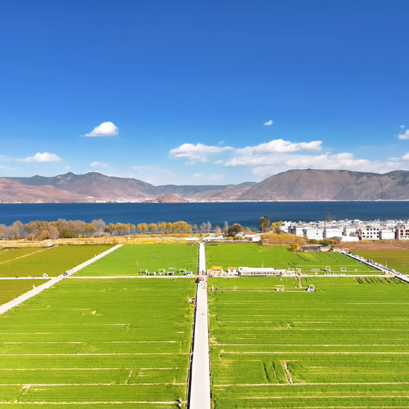 【版纳旅游】西双版纳/全程自由行/落地纯玩旅游/5天4晚 - 定制游预订