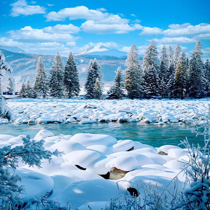 新疆旅游阿勒泰喀纳斯禾木白哈巴吉克普林海上魔鬼城将军山5日嗨 - 定制游预订