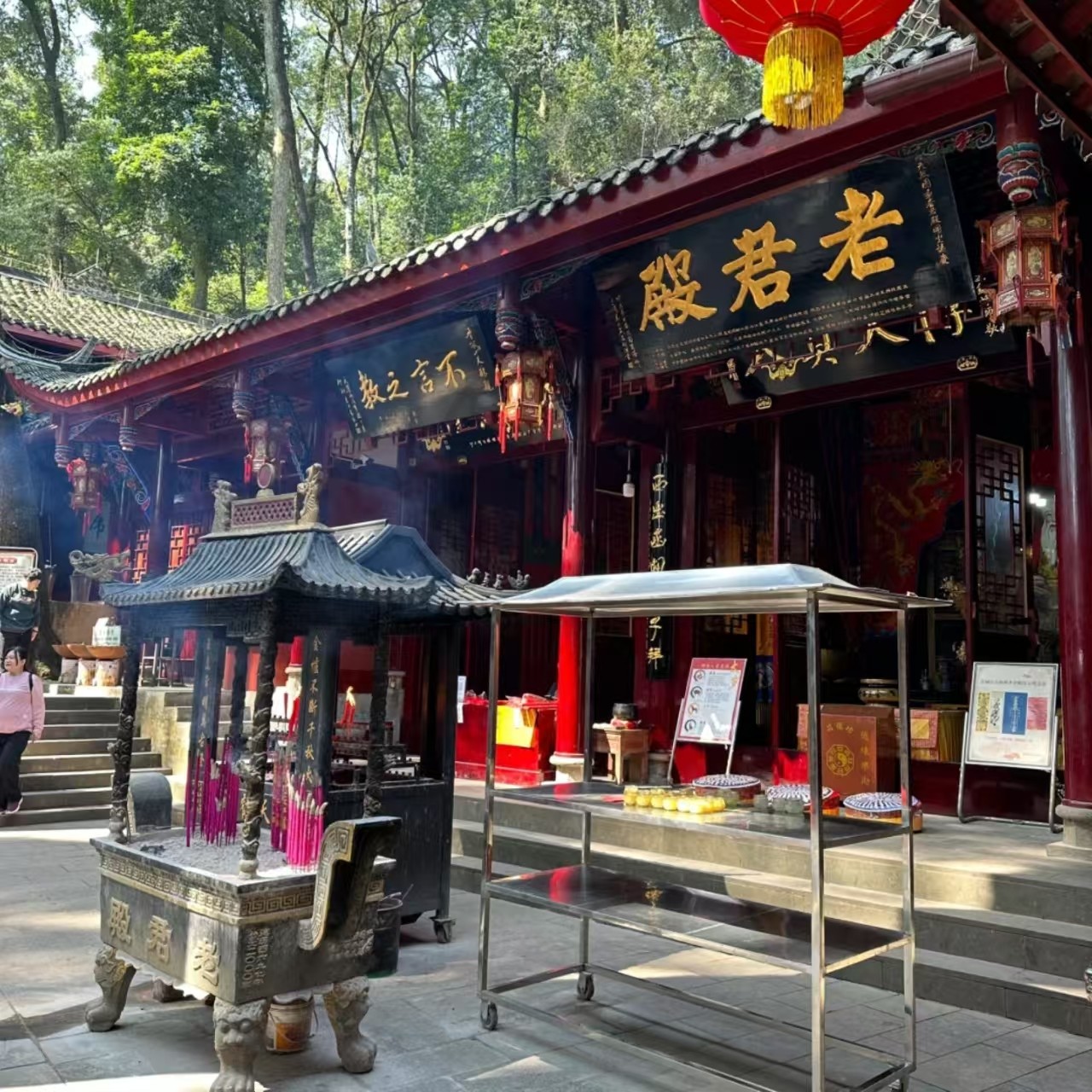 包车游/青城山+卧龙中华大熊猫苑神树坪基地&一单一团&晚出发