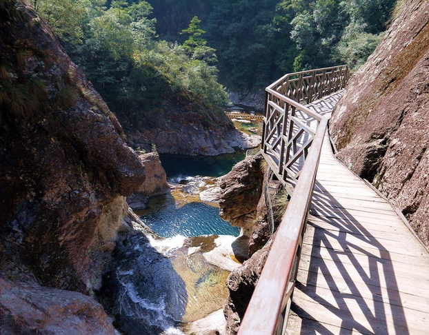 铜铃山国家森林公园-森林栈道图片