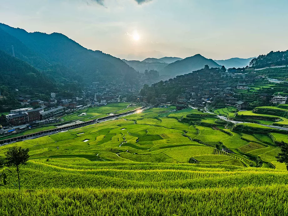 田园观光区图片