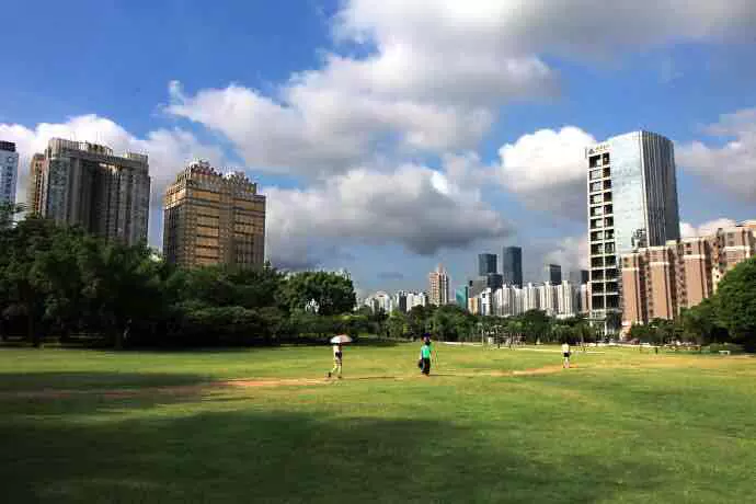 深圳市中心市级湿地公园图片