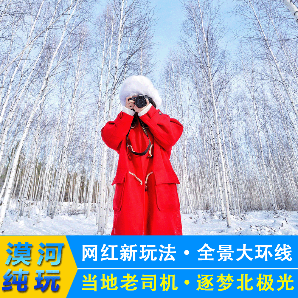 【找北全景环线】漠河旅游北极村3天2晚纯玩mini私家团 - 定制游预订