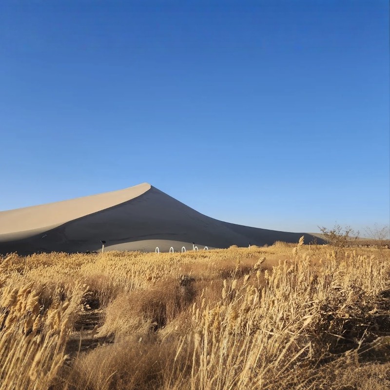 【乐享】敦煌亚朵酒店大床房2天1晚自由行+鸣沙山月牙泉+莫高窟