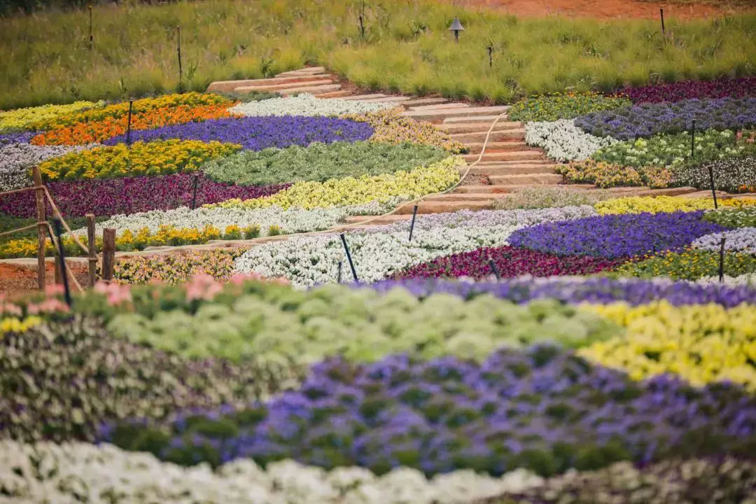 香遇百花园图片