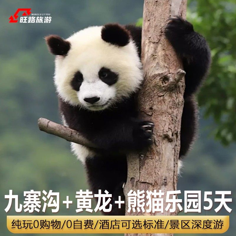 多酒店标准可选|5天纯玩2+1保姆车成都九寨沟黄龙熊猫乐园/都江堰 - 定制游预订