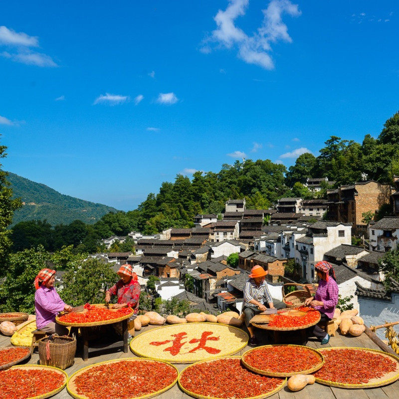 婺源+黄山风景区4日3晚跟团游 宿1晚山顶独卫酒店 观黄山最美日出 - 定制游预订