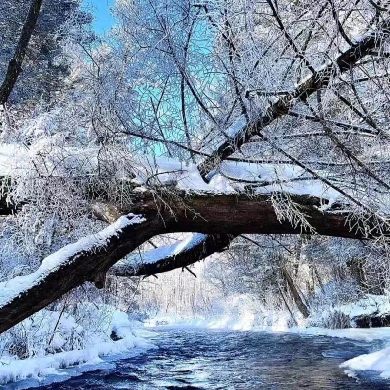 长白山二道白河星程酒店3天2晚+大泉河(魔界)漂流双人票