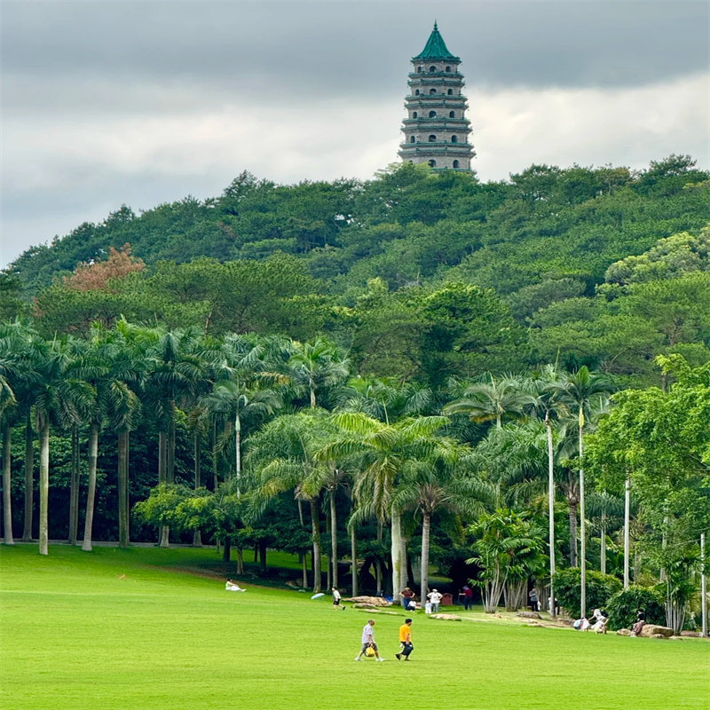 南宁四天三晚 - 定制游预订
