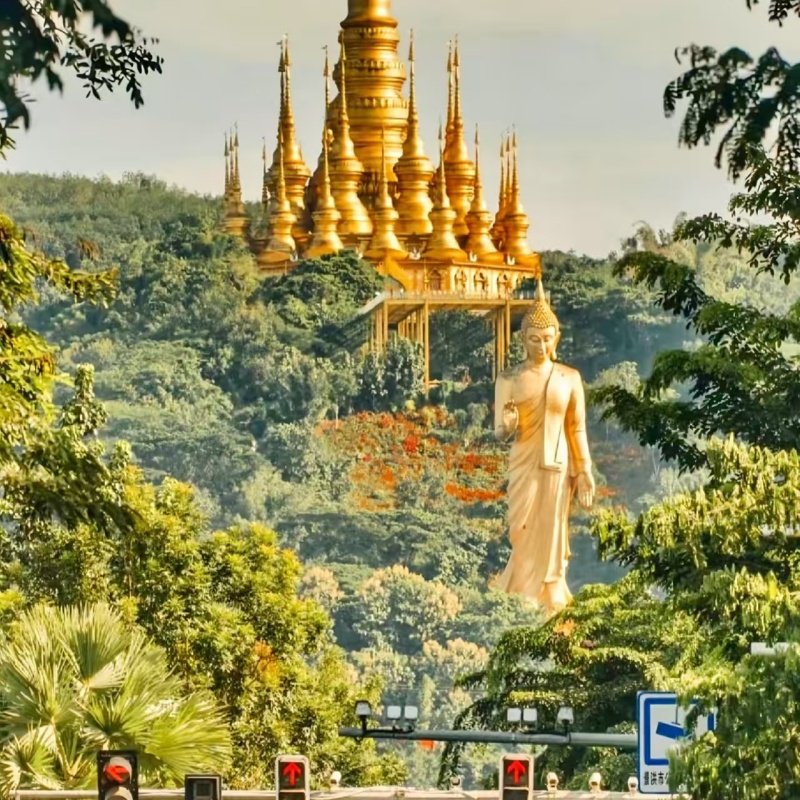 西双版纳5天4晚15人纯玩小团望天树 曼远村/植物园/傣族园/野象 - 定制游预订